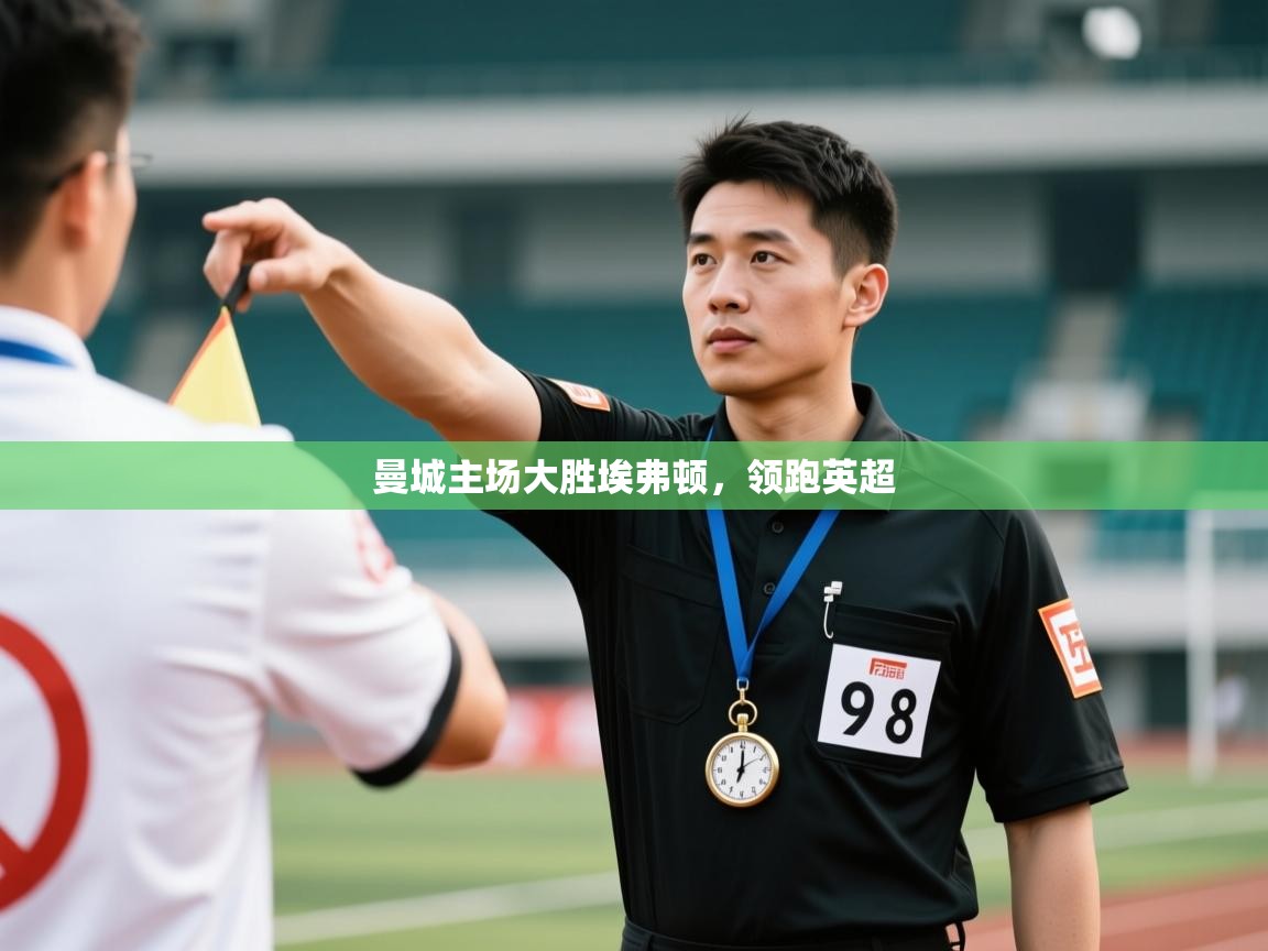 曼城主场大胜埃弗顿，领跑英超  第2张