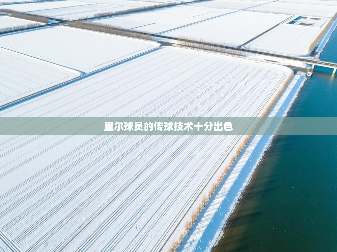 里尔球员的传球技术十分出色  第1张