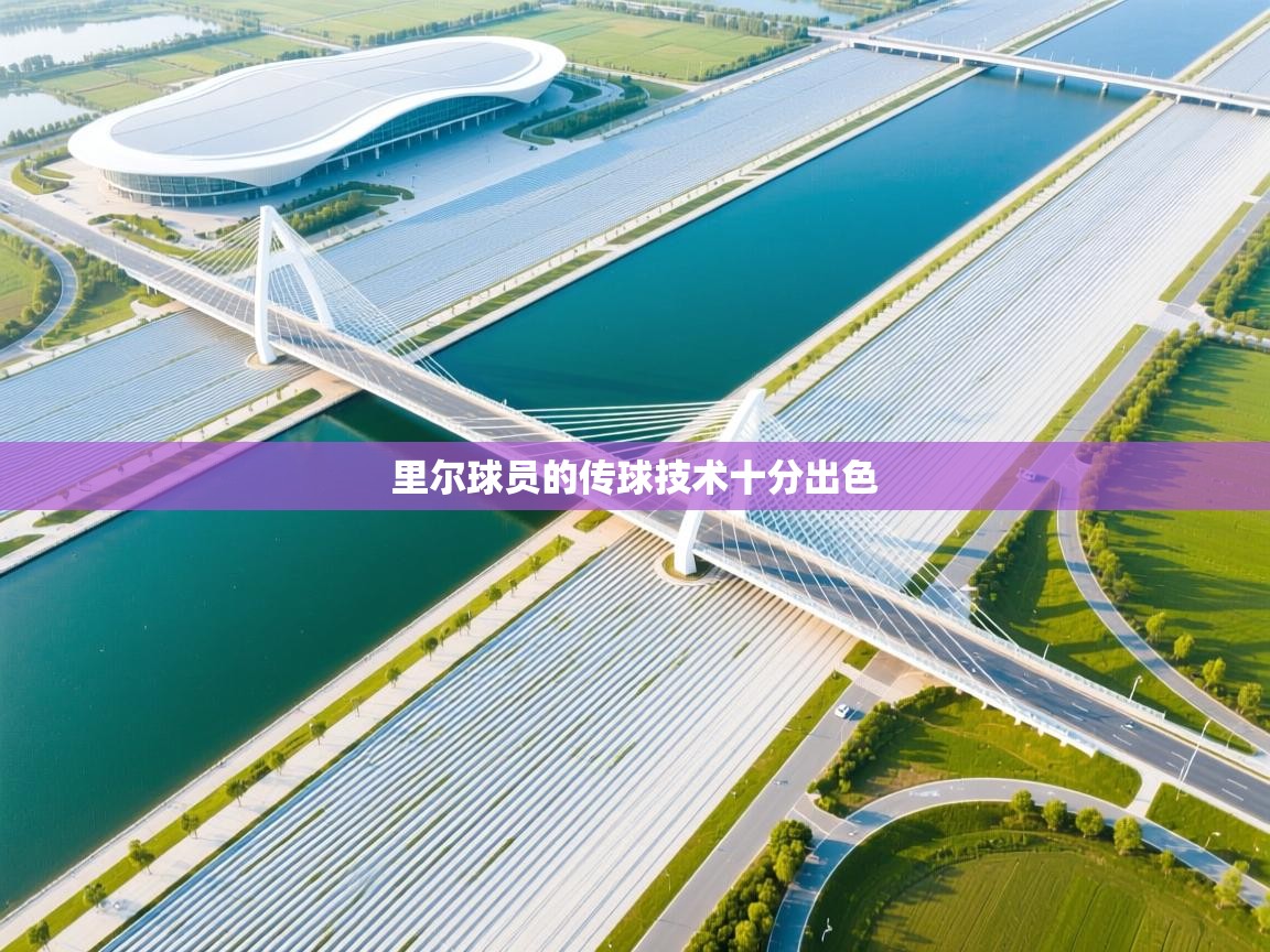 里尔球员的传球技术十分出色  第2张