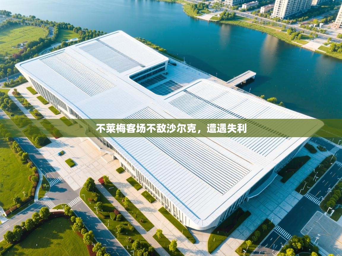 不莱梅客场不敌沙尔克，遭遇失利  第2张