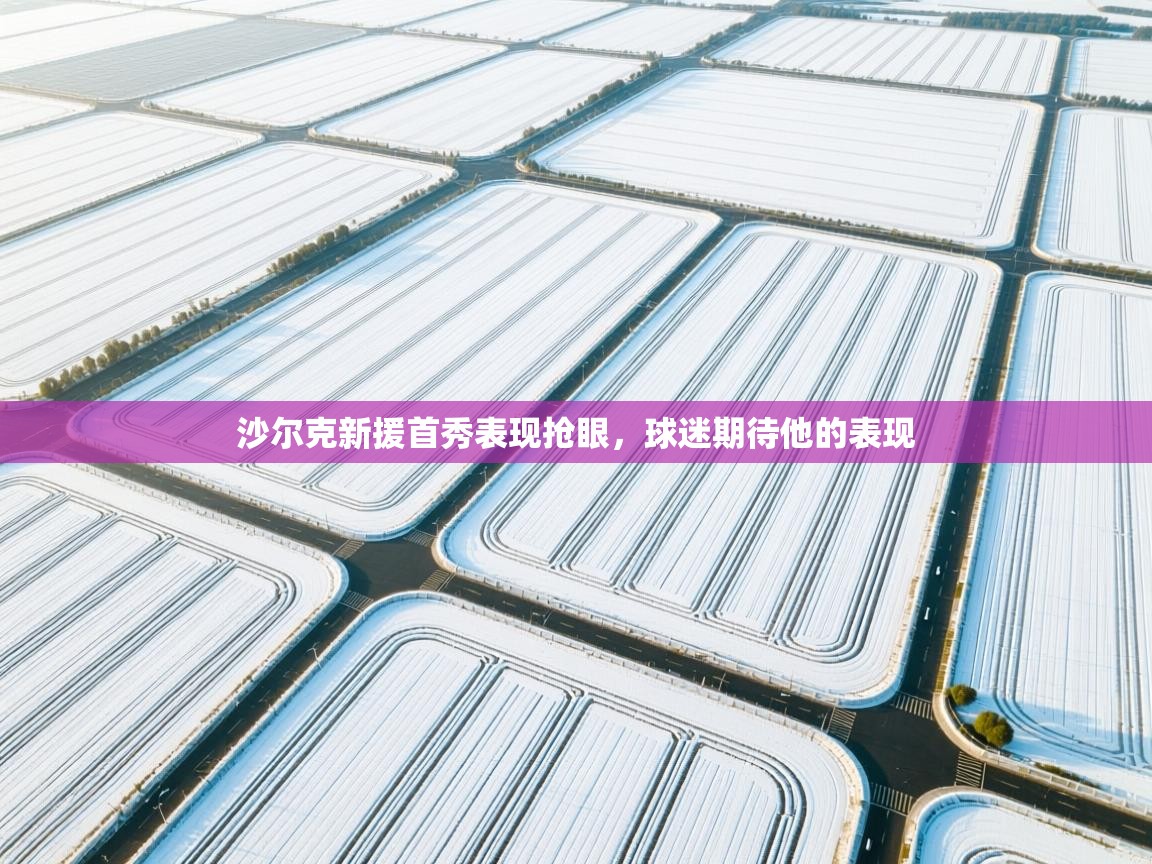 沙尔克新援首秀表现抢眼，球迷期待他的表现  第2张