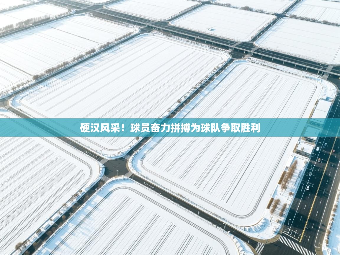 硬汉风采！球员奋力拼搏为球队争取胜利  第2张