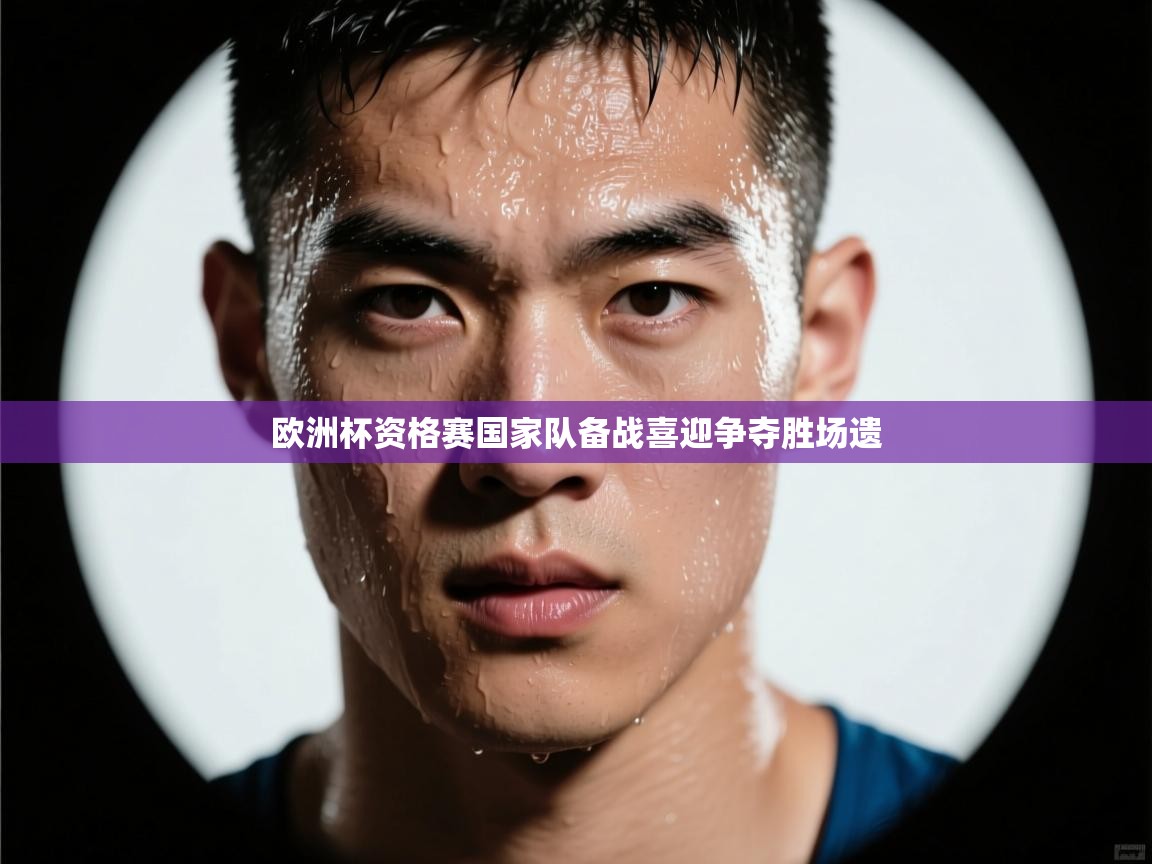 欧洲杯资格赛国家队备战喜迎争夺胜场遗  第1张