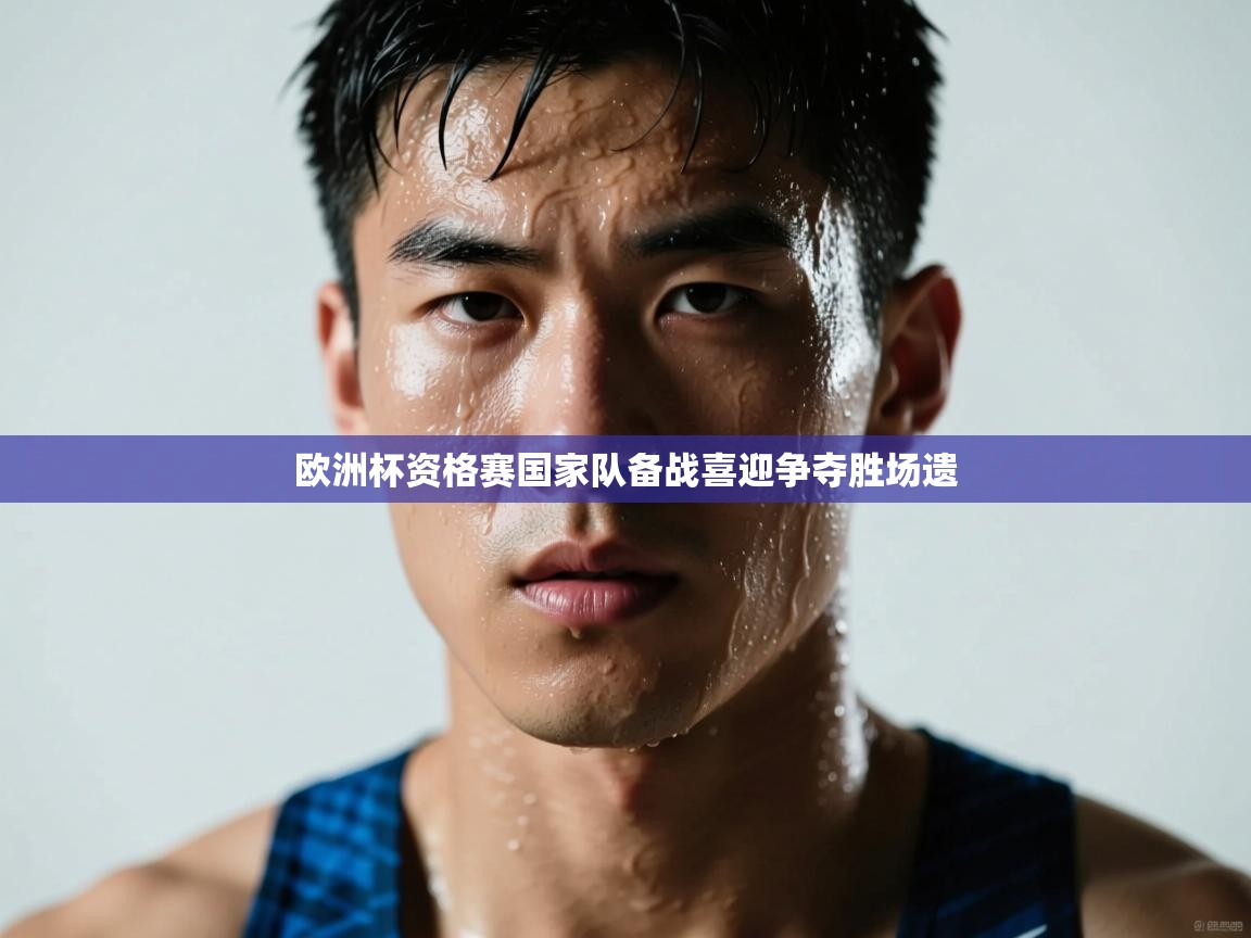 欧洲杯资格赛国家队备战喜迎争夺胜场遗  第2张